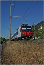 A SBB Domino RBDe 560 is by Ligerz on the way to Bie/Bienne.

11.07.2025