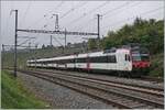 A SBB RBDe 560 Domino is by Auvernier on thw way from Buttes to Neuchâtel. 
08.10.2025 A SBB RBDe 560 Domino is by Auvernier on thw way from Buttes to Neuchâtel. 
08.10.2025