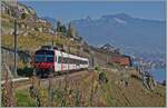 A SBB RBDe 560  Domino  in the vineyards over St Saphorin (Train de vignes /vineyard line). 

15.11.2024