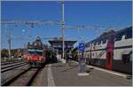 A SBB RBDe 560 is waiting in Palézieux his departure to Vevey. 

26.10.2019