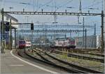 Parallel arrival in Lausanne: On the right in the picture an SBB RABe 511 as RE33 to Annemasse and on the left in the picture the SBB Domino still operating in Travys colors coming from