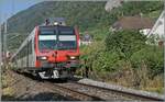 An SBB Domino is operating as R13 6023 on its way from Yverdon to Biel/Bienne and reaches shortly after Schaffis on the last single-track section of the Jura Foot Line Ligerz.

July 16, 2026