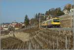 The Train des Vignes in the vineyard by Chexbres. 
24. 01. 2011