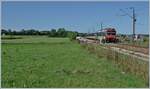 What was barely visible in the previous picture now appears in full size: On the SNCF line Frasne - Les Verrières, an SBB RABe 561 NPZ is on its way to Neuchâtel as a TGV connecting train.