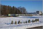 A BLS local train on the way to Burgdorf bei Lützelflüh-Goldbach.

06.01.2017  