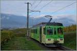 The ASD BDe 4/4 402 as local train 425 Les Diablertes - Aigle in Aigle's Vineyards. 14.10.2015