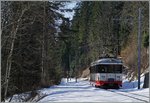 A TransN BDe 4/4 in the wood near Les Frêtes. 
18.03.2016