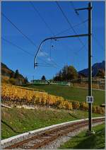 The ASD BDe 4/4 401 wiht his Bt on the way to Les Diablerets in the vineyard over Aigle. 

28.10.2016