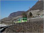 The ASD BDe 4/4 402 with his Bt on the way to Les Diablerets in the vineyards by Aigle.

17.02.2019