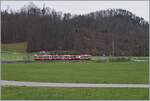 A WB BDe 4/4 with his local service between Hölstein and Lampenberg-Ramlinsburg.

21.03.2021