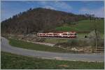A Waldenburger BDe 4/4 wiht his local train from Waldenburg to Liestal by Lampenberg    25.03.2021