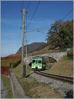 The ASD BDe 4/4 402 in the vineyard by Aigle on the way to Exergillod.