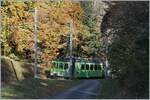 The ASD BDe 4/4 402 in the wood by Verschiez on the way from Aigle to Plambuit.