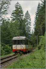  cmn  BDe 4/4 N 5 on the way to Le Locle in the wood by Les Frtes.
19.08.2010