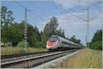 Near Hergatz is a SBB RABe 503 von the way from Zürich to München. This is the EC 97 service. 

19.06.2023