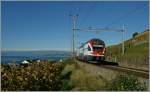 SBB RABe 511 111 on the way to Geneve by Cully.