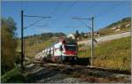 A SBB RABe 511 on the way to Vevey by Epesses.