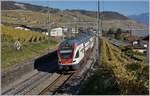 The SBB RABe 511 116 to Geneva by Cully.