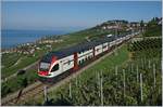 Two SBB RABe 511 on the way to Fribourg by Chexbres.