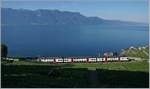 A early summer mornign on the Vineyard-Line by Chexbres wiht an SBB RABe 511.