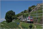 The SBB RABe 511 112 by the 20 meter long Salanfe tunnel between Chexbres Village and Vevey.