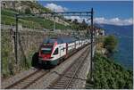 The SBB RABe 511 114 on the way to Fribourg by St Saphorin.