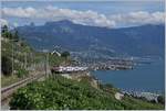 The SBB RABe 511 112 from Fribourg to Geneva between Chexbres and Vevey in the Lavaux Vineyards.