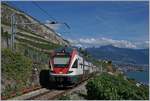 The SBB RABe 511 112 from Fribourg to Geneva between Chexbres and Vevey in the Lavaux Vineyards.