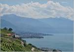 A SBB RABe 511 between Vevey and Chexbres.