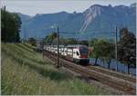 The SBB RABe 511 110 on the way to Geneva near Villeneuve.