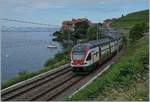 The SBB RABe 511 113 on the way to Vevey by Rivaz.