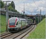 The SBB RABe 511 030 on the way toSt-MAurice by Villeneuve. 

24.07.2020