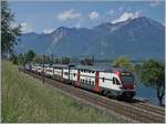 The SBB RABe 511 026 near Villeneuve is the RE service from St Maurice to Annemasse.