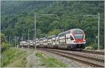 The SBB RABe 511 019 on the way to Annemase near St-Maurice.