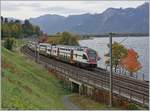 A SBB RABe 511 on the way to Annemasse near Villeneuve.