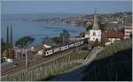 A SBB RABe 511 on the way to Annemasse by Villete VD.