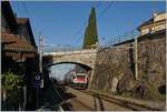 The SBB RABe 511 114 on the way to St Maurice in Rivaz.