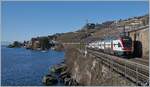 The SBB KISS RABe 511 123 on the way to St Maurice between Rivaz and St Saphorin.