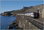 The SBB RABe 511 113 and 017 on the way to St Maurice between Rivaz and St Saphorin.