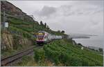 The SBB RABe 511 027 on the way to Geneva Airport on the vineyard line (work on the line via Cully).