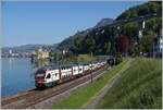 The SBB RABe 511 110 and 119 on the way rom St mauriche to Annemasse by the Castle of Chillon.