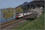 The SBB RABe 511 105 is by the Castle of Chillon onthe way to Annemasse.