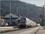 The SBB RABe 511 019 and an other one on the way to St Maurice in Rivaz.