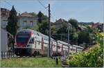 The SBB RABe 511 019 in Chexbres, this train in not runging verry often on this line.