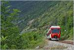 A TMR Regio Alps local train from Martingy to Le Chabel between Bovernier and Sembrancher.
13.09.2017