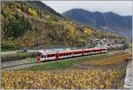 The TMR Region Alps RABe 525 040  NINA  on the way from Martiny to Le Châble in the vineyards by Bovernier.