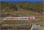 The TMR Region Alps RABe 525 038  NINA  on the way from Le Chabel to Martingy in the vineyards by Bovernier.

06.11.2020