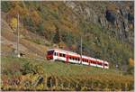 The TMR Region Alps RABe 525 038  NINA  on the way from Le Chabel to Martingy in the vineyards by Bovernier. 

06.11.2020