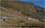 The TMR Region Alps RABe 525 038  NINA  on the way from Le Chabel to Martingy in the vineyards by Bovernier. 

06.11.2020