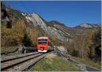 The TMR Region Alps RABe 525 041  NINA  on the way from Sembrancher to Orsières near Sembrancher.